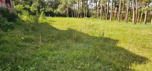 Commercial 1⁄4 Plot for Sale in Kimumu Eldoret