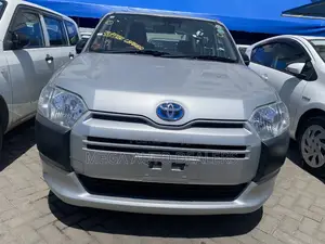 Toyota Probox 2018 Silver