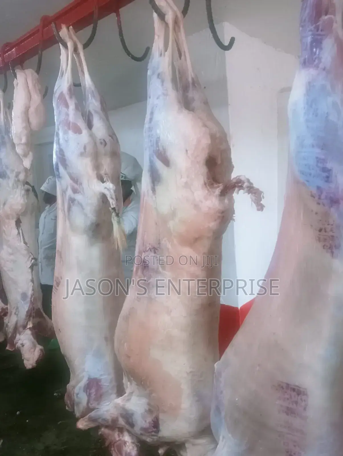 Fresh Goat Meat In Wholesale