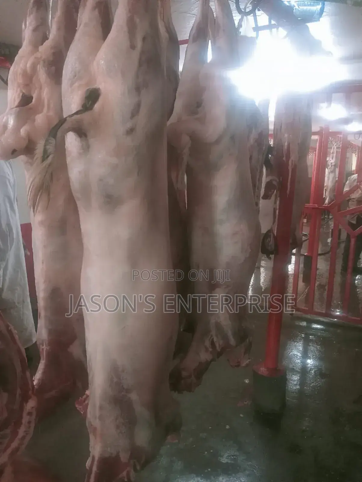 Fresh Goat Meat In Wholesale