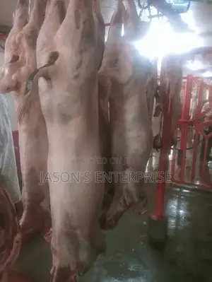 Fresh Goat Meat In Wholesale