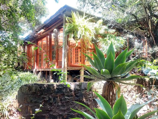 2bdrm Bungalow in Karen for rent - thumbnail 4