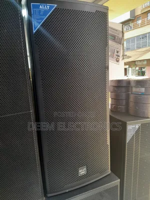 Ally Audio Longrange Double Speaker 15"