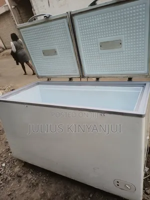 Two Doors Chest Freezer 500l