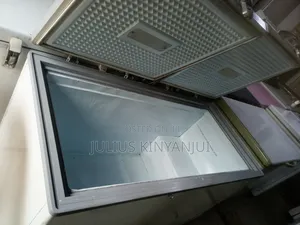 Two Doors Chest Freezer 500l
