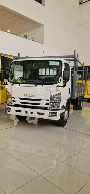 Isuzu Nqr (Hardware Body)