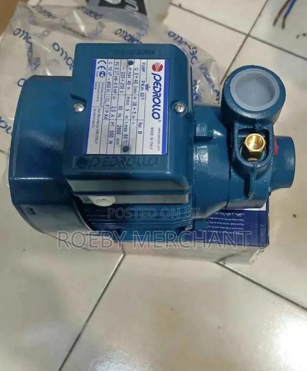 Pedrollo Water Pump/0.5hp Italy Booster Pump