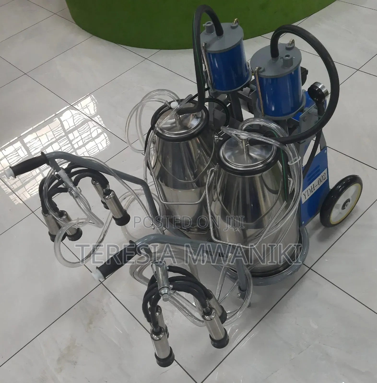 Two Buckets Milking  Machine