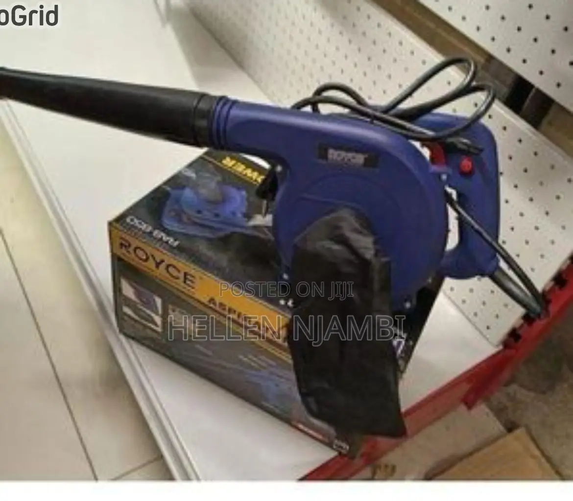 Royce 500w Electric Blower