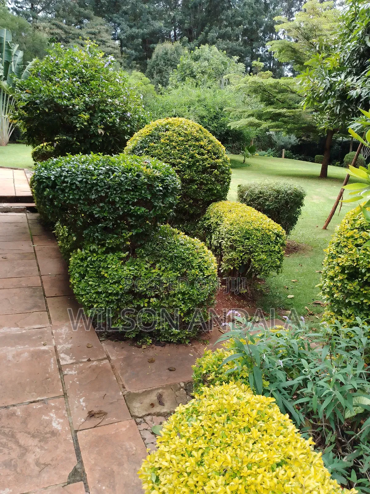 Gardening Landscaping