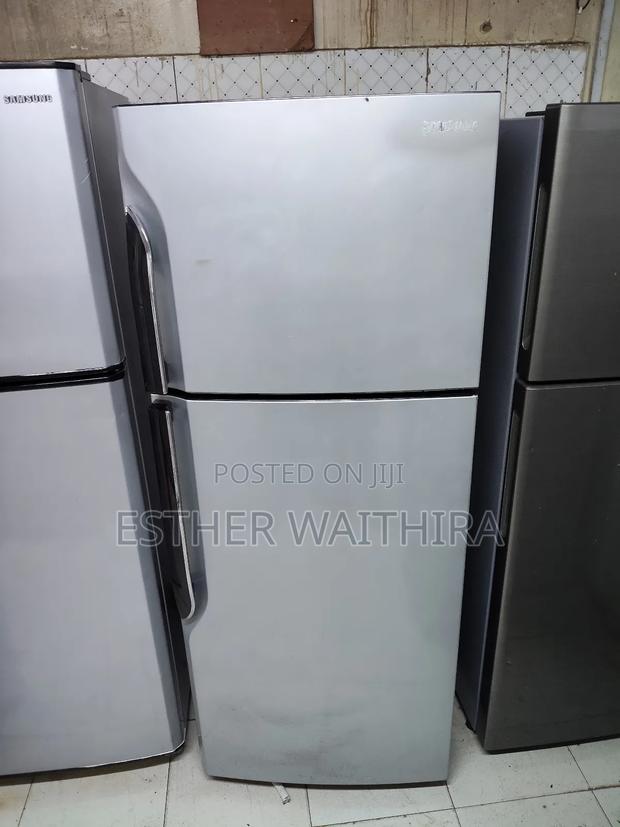 Samsung Fridge With Bluewish Trays - main view