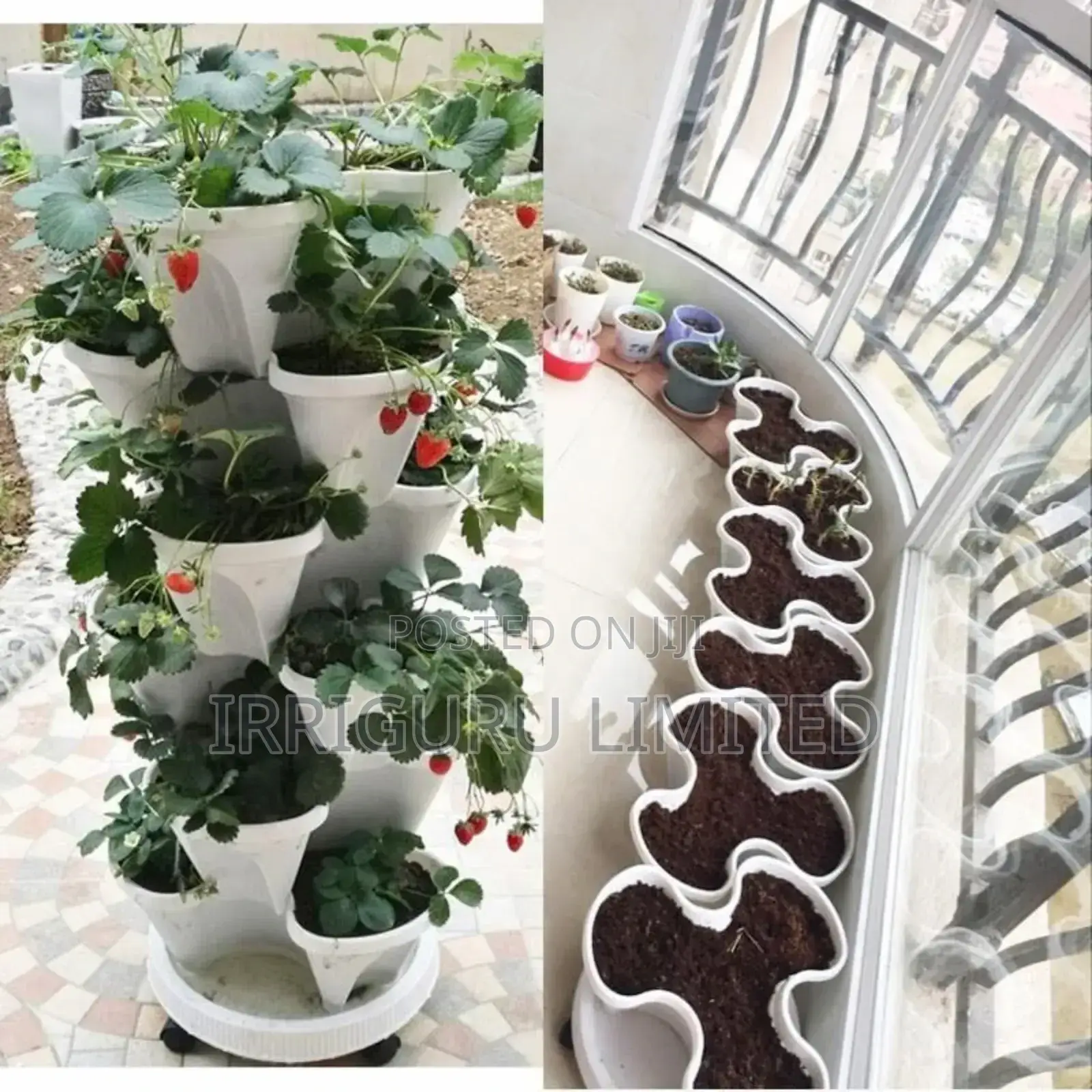 Smart Irrigation