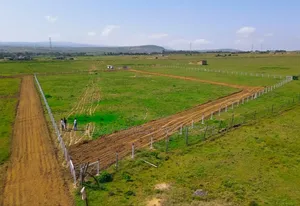 Prime 50 by 100 Plots for Sale in Naivasha, Maaimahiu Highway