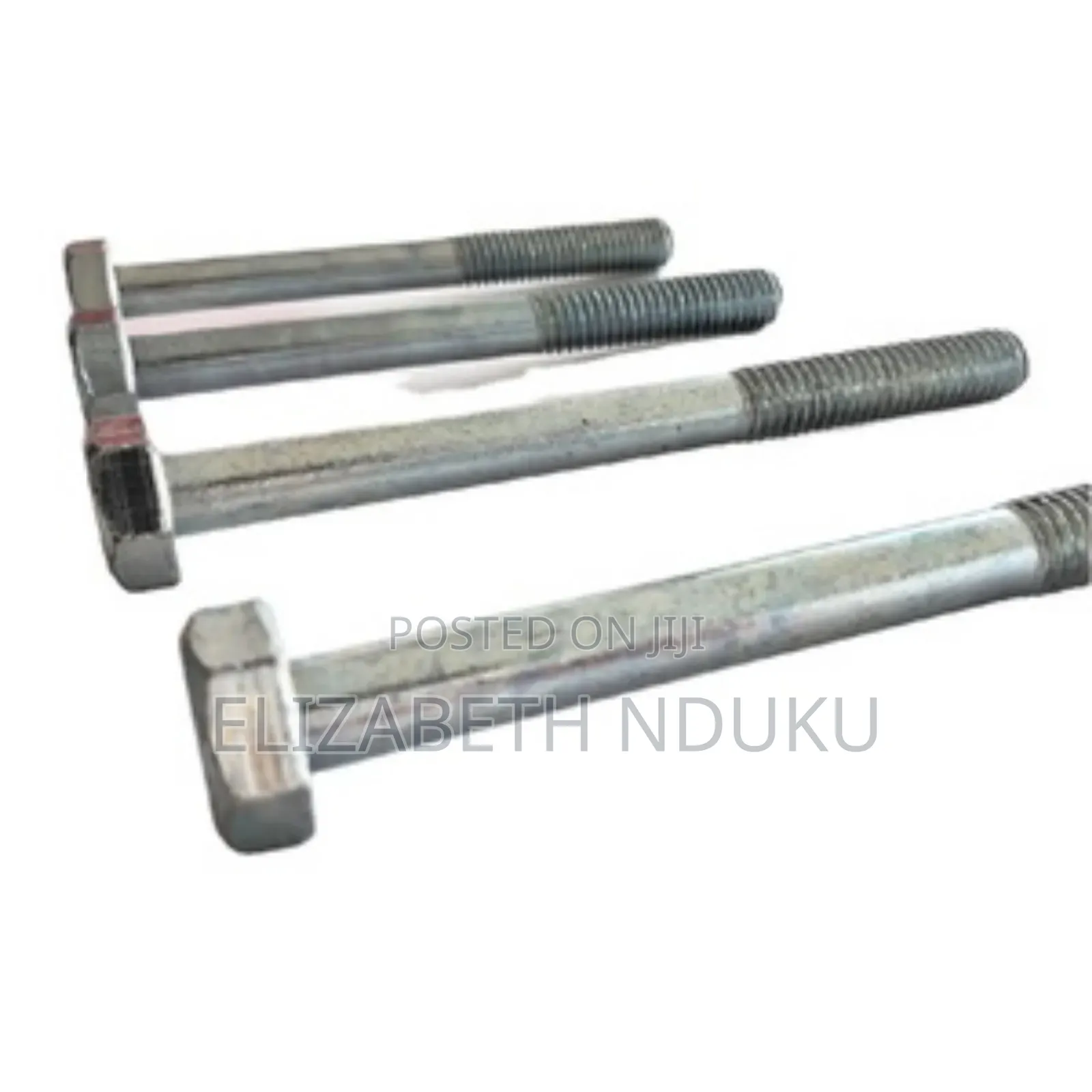 Rail Guard Bolts (Nuts)