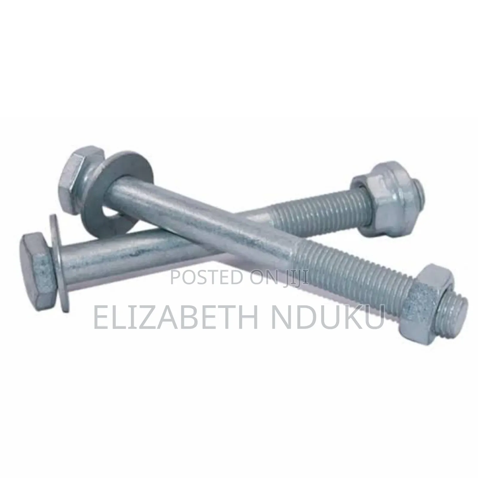 Rail Guard Bolts ( Silver)