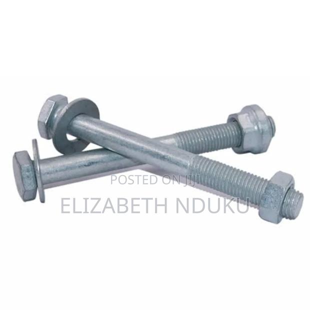 Rail Guard Bolts ( Silver)