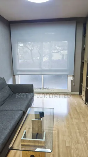 Sunscreen Roller Blinds – Modern Window Coverings for Stylish Homes