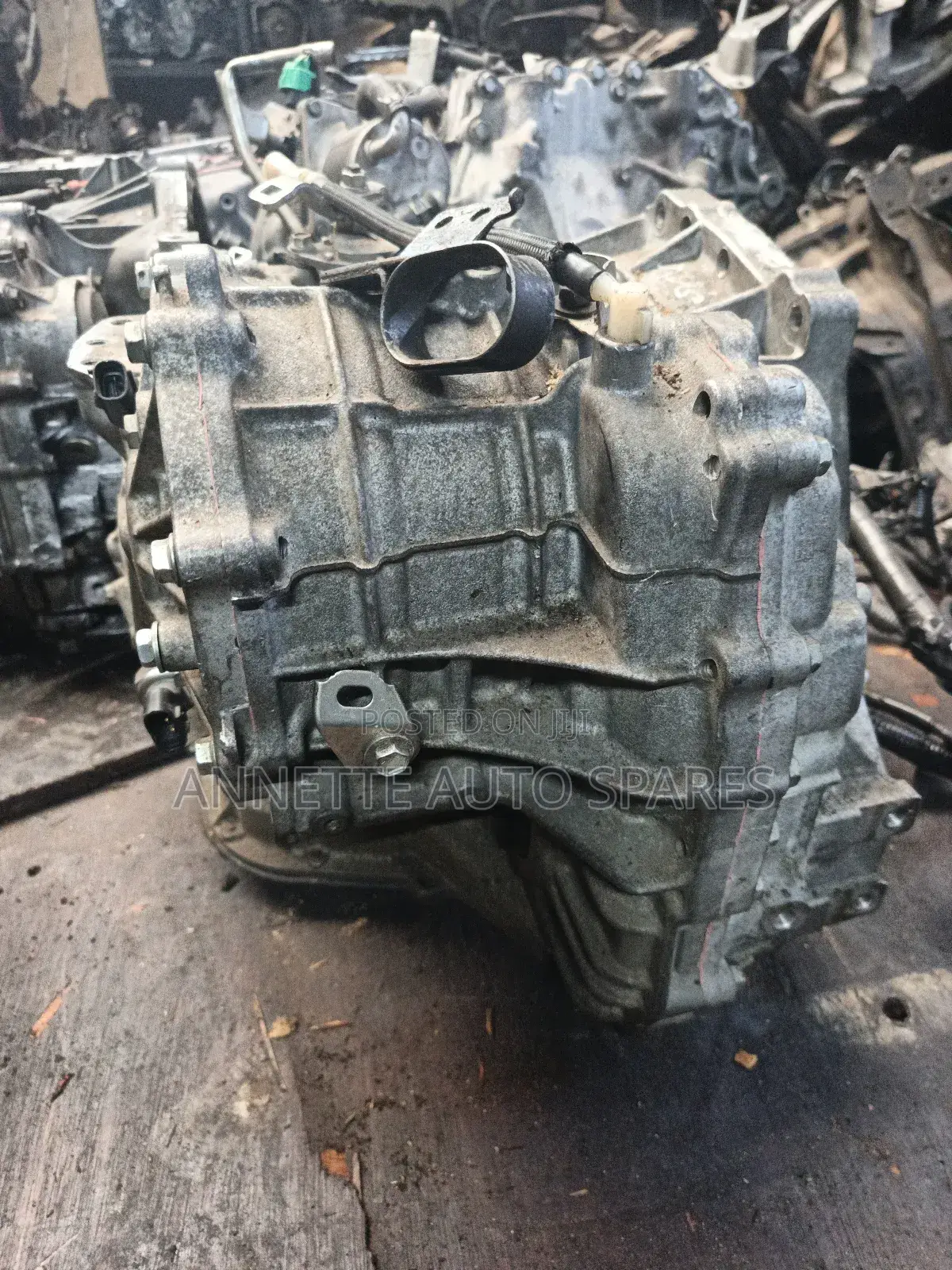 1nz 12 Pin Gearbox Axio, Fielder