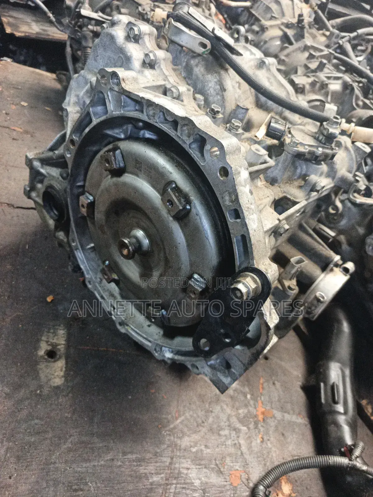 1nz 12 Pin Gearbox Axio, Fielder