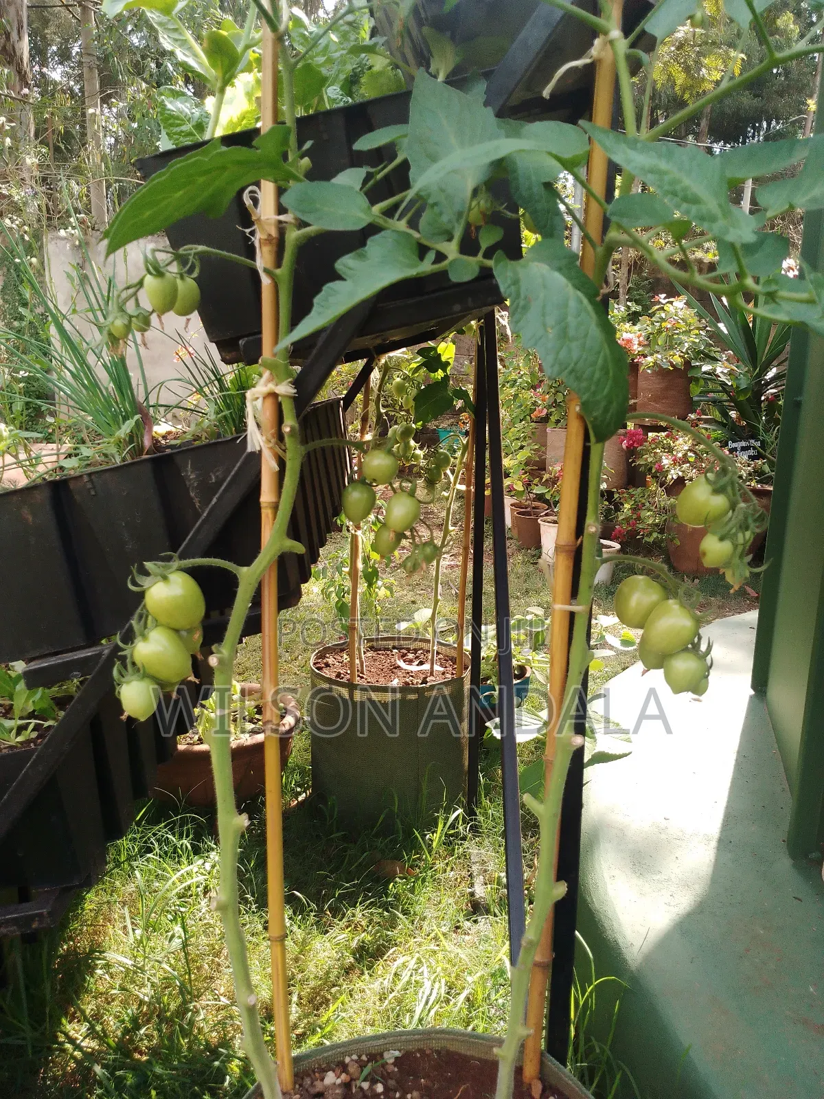 Gardening Landscaping