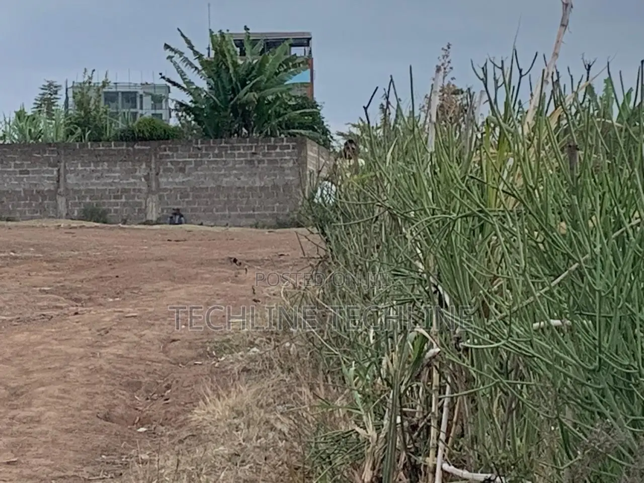 Plot for Sale Mwiki- 50x100