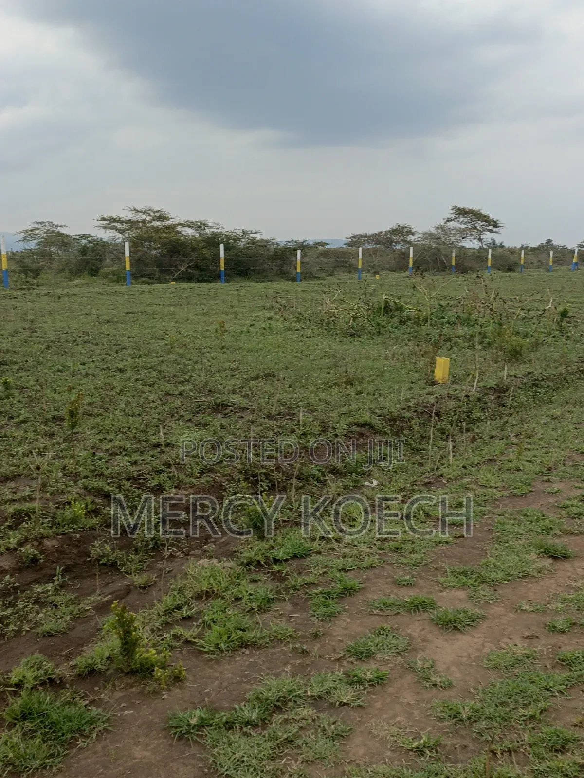 Plots for Sale in Nakuru