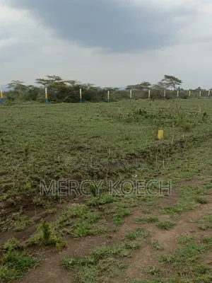 Plots for Sale in Nakuru