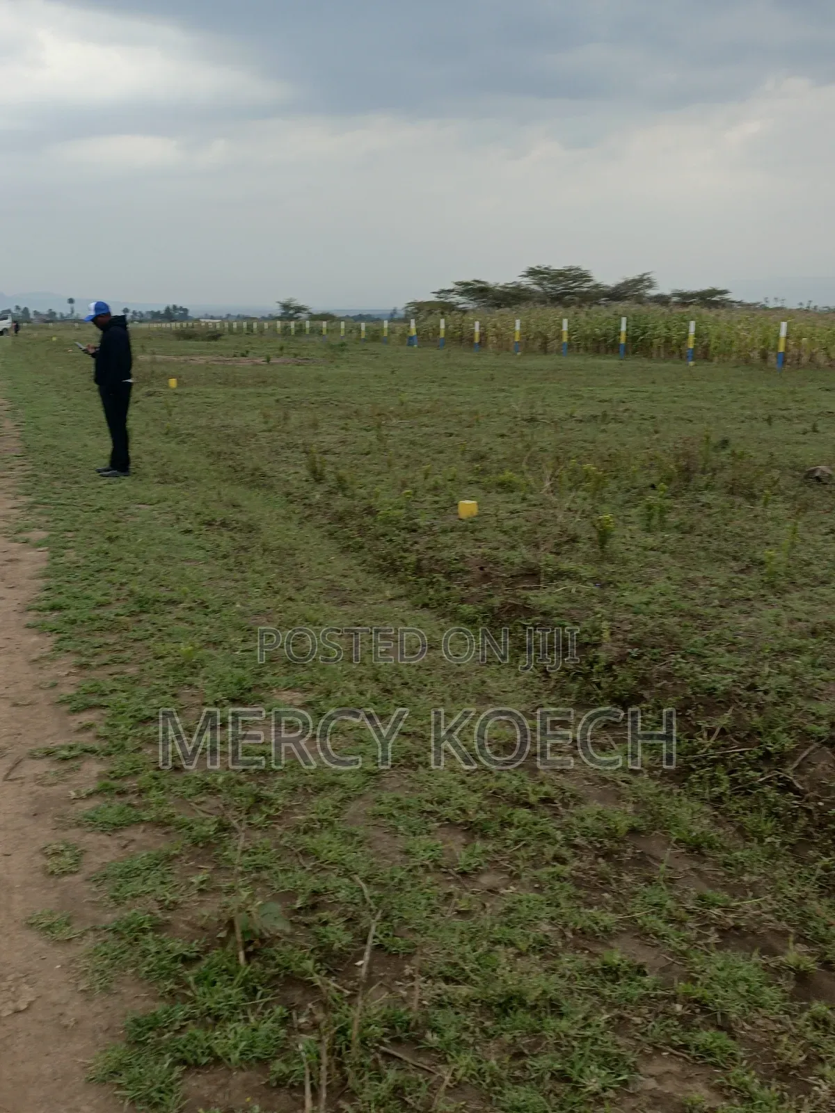Plots for Sale in Nakuru