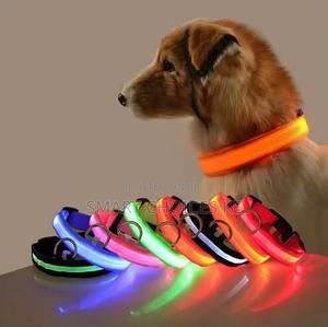 Rechargeable Light Up Pets Collars - main view