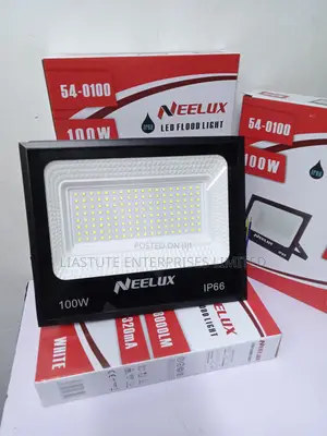 Neelux 100w Ip66 Led Flood Light
