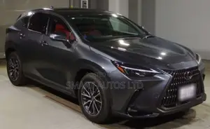 Lexus NX 2022