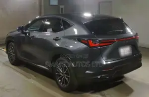 Lexus NX 2022