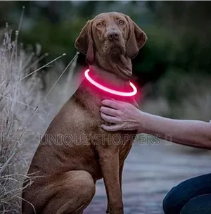 Rechargeable Light Up Pets Collars* Safety Rechargeable Led Dog Collar