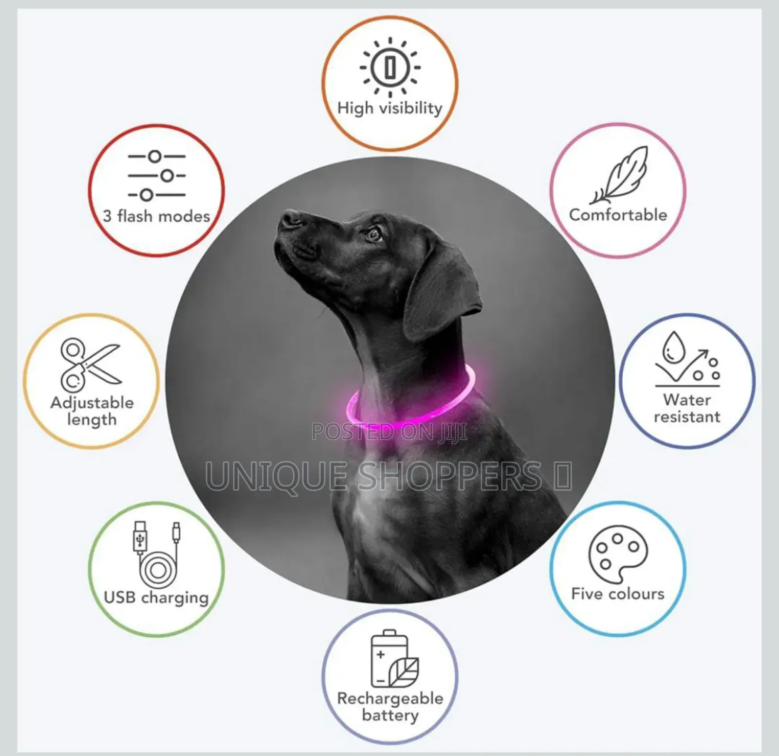 Rechargeable Light Up Pets Collars* Safety Rechargeable Led Dog Collar