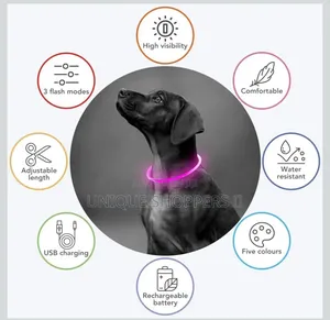 Rechargeable Light Up Pets Collars* Safety Rechargeable Led Dog Collar