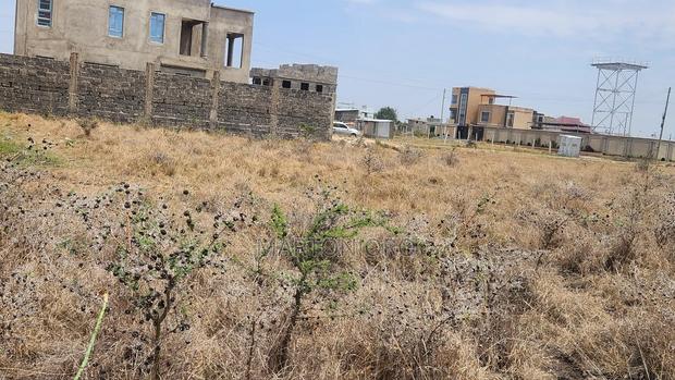 Kamakis Silcon Valley Plots - thumbnail 3