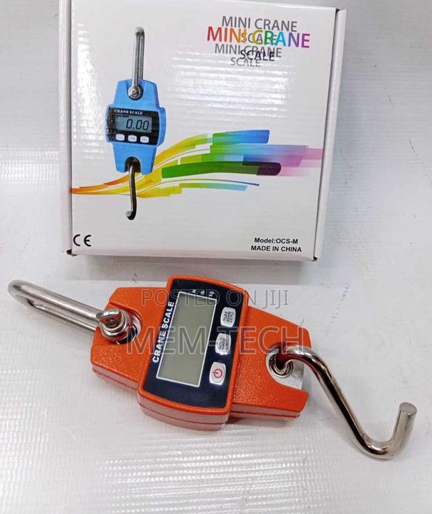 Mini Crane Scale 300kg - main view