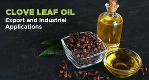 Clove Oil Available - thumbnail 2