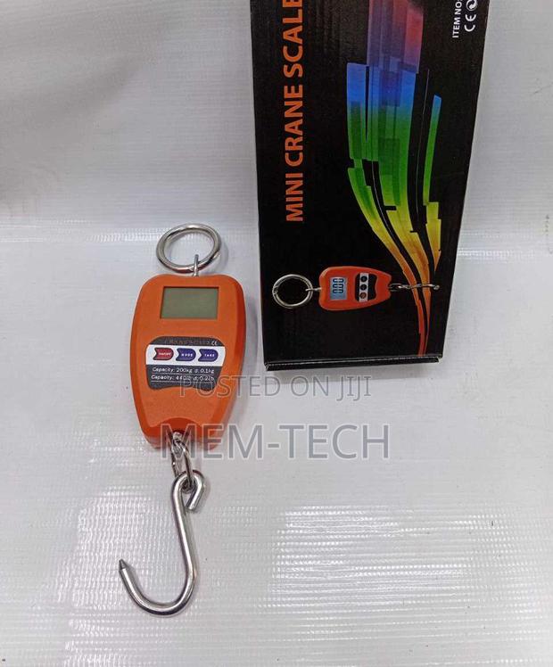 A Mini Crane Scale 200kg - main view