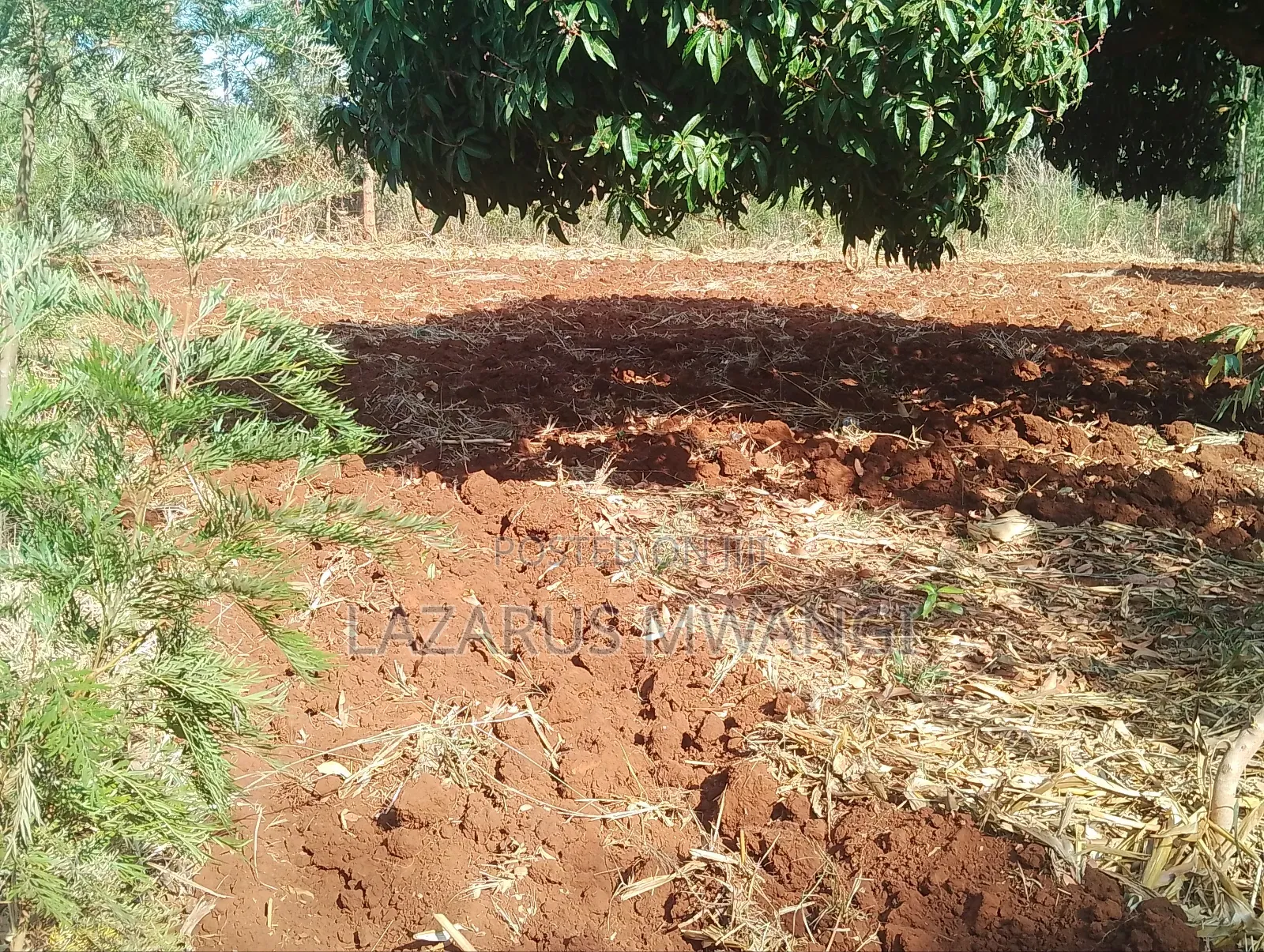 0.15 Hac Land Along Near Sagana Dual-Carriage Wachoro