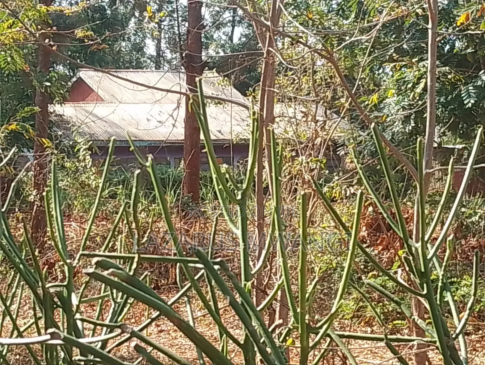 0.15 Hac Land Along Near Sagana Dual-Carriage Wachoro