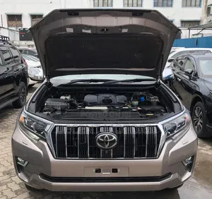 Toyota Land Cruiser Prado 2.8 2019 Brown