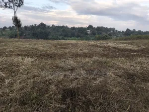 3.5 Acres of Red Soil Land on Sale in Kerarapon Drive, Ngong