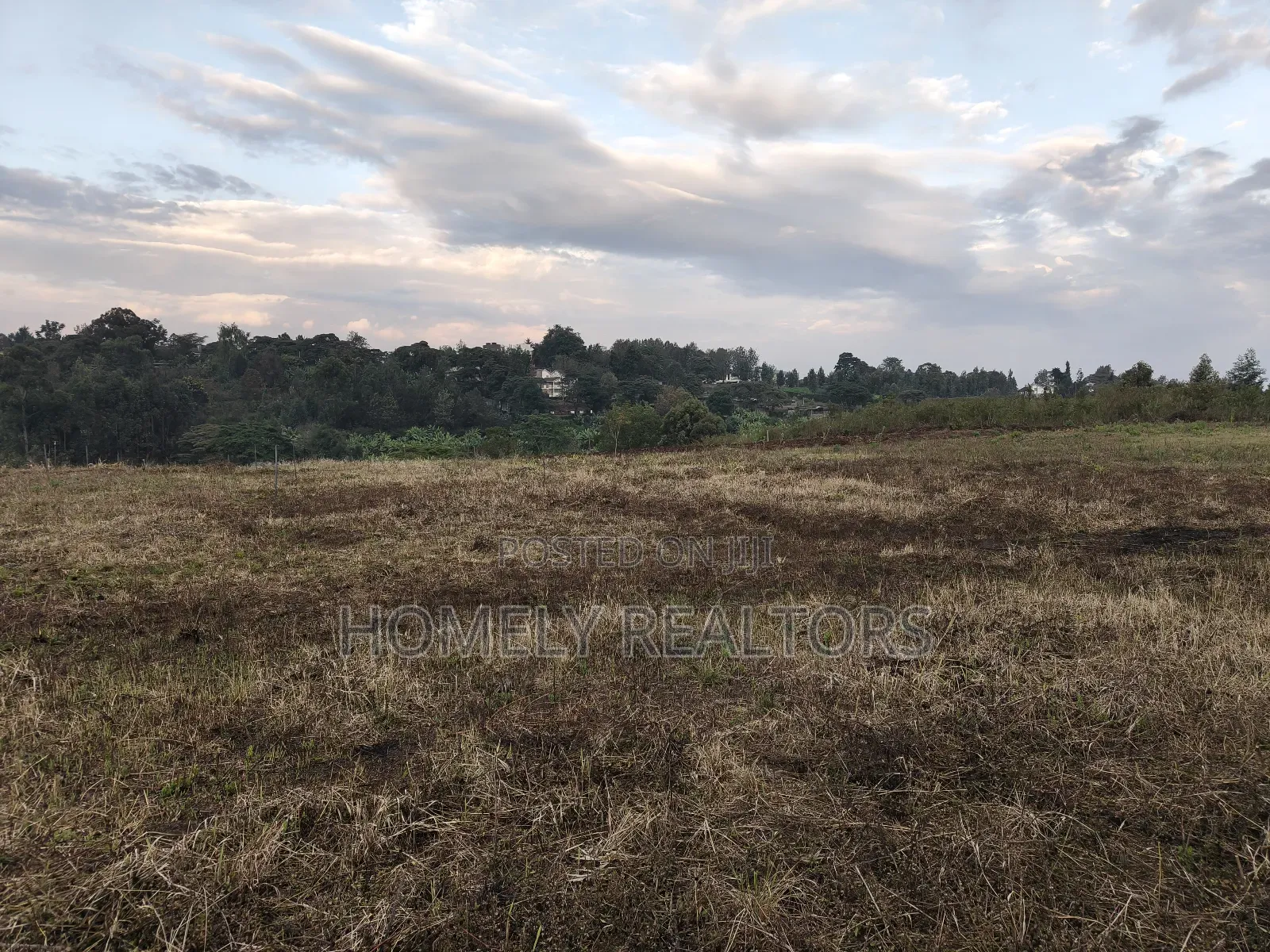 3.5 Acres of Red Soil Land on Sale in Kerarapon Drive, Ngong