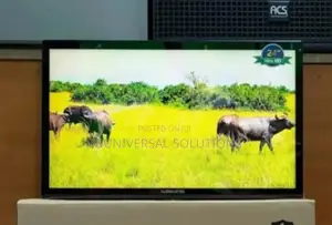 Globalstar 22 Inches Digital Tv