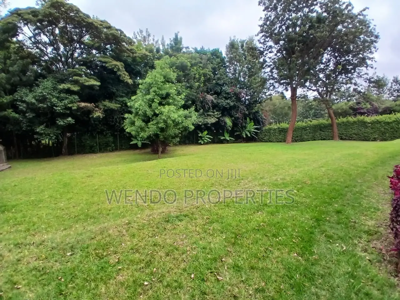 5 Bedroom Commercial House