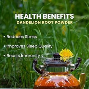 Dandelion Powder - thumbnail 2