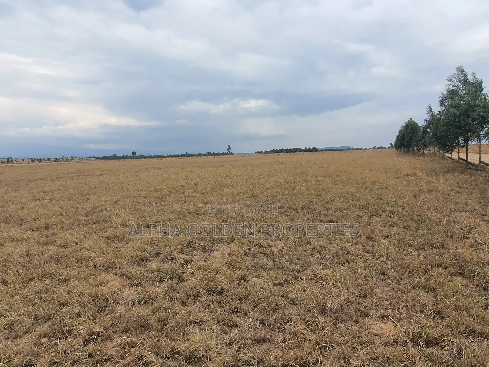 4 Acres in Narumoru