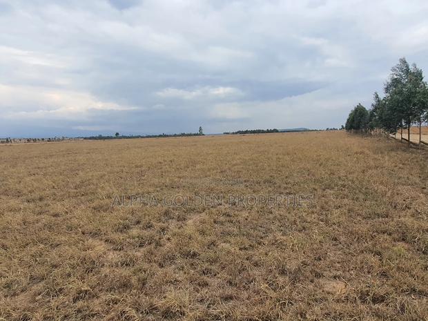 4 Acres in Narumoru - thumbnail 2