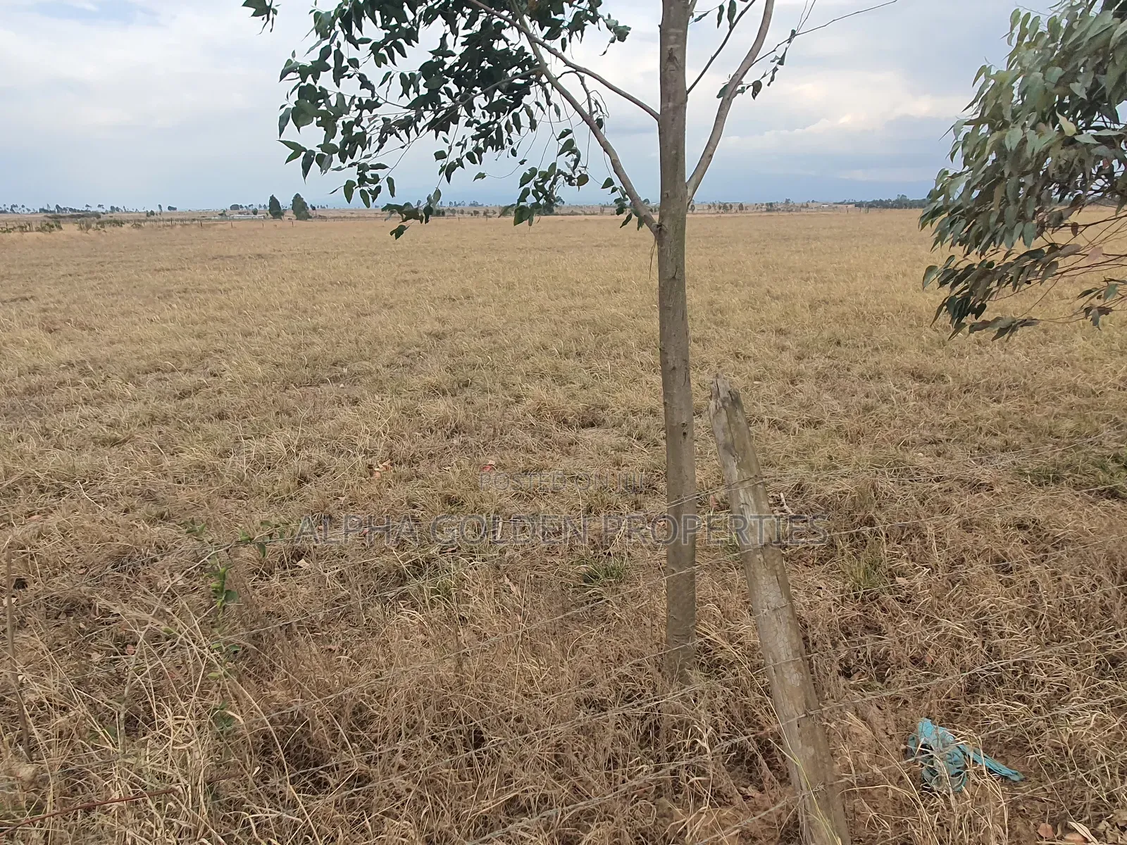 4 Acres in Narumoru